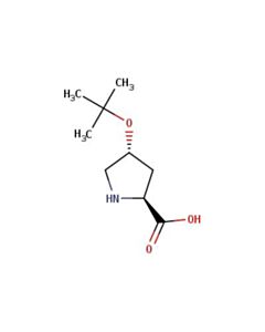 Astatech H-HYP(TBU)-OH; 1G; Purity 97%; MDL-MFCD00153445